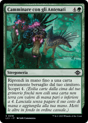 e62189f2-3f30-43ee-8d8d-83b9dfd7d4f5 Walk with the Ancestors