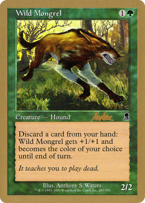 e6273be2-c515-4183-a8d3-23de64d99365 Wild Mongrel