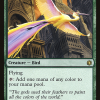 Birds of Paradise