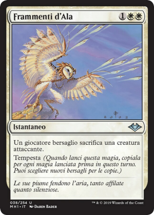 e6d5ce2a-daf4-4554-884d-83a8bc400888 Wing Shards