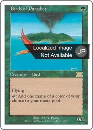 e70d36eb-3585-4390-91be-84c754ac2501 Birds of Paradise