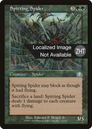 e76d9ffc-8eca-432c-8b17-3a318e212650 Spitting Spider