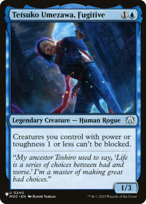 e796ab6a-fec1-4664-9cc6-dd15b711e6a5 Tetsuko Umezawa, Fugitive