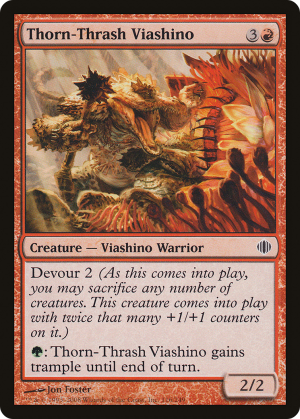 Thorn-Thrash Viashino