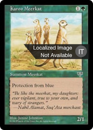 e82686b8-f694-4e70-a84a-ed38a8b27452 Karoo Meerkat