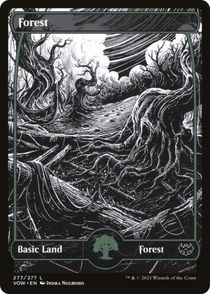 e8760175-e9bb-4ef9-87ca-591d1edd5163 Forest