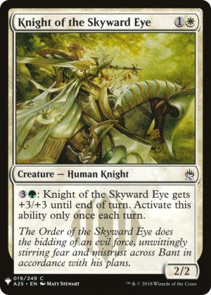 e8859efb-4546-4c67-8f84-e97301d971ab Knight of the Skyward Eye