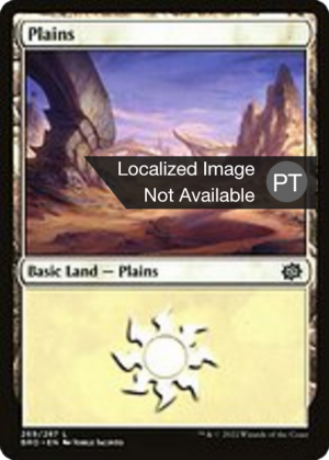 e8dda7a1-791b-4f3c-97d1-f5b05ab08bfe-1 Plains