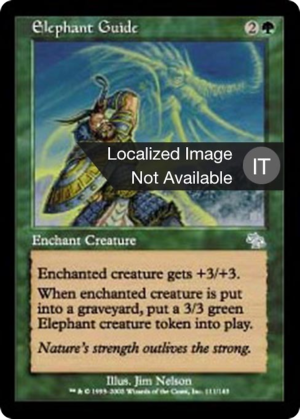 e9af96c1-8290-4060-a98b-07b8f7132ea7 Elephant Guide