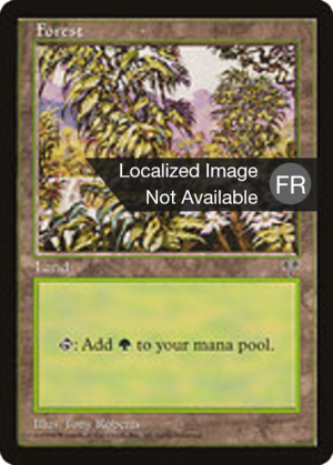 ea3ac3ce-6d16-463b-a140-63157e72581e Forest