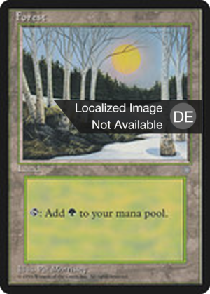 ebc176ce-c0db-4476-bafe-cee3736720ca Forest