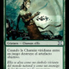 Viridian Shaman