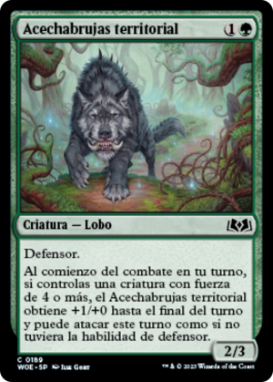 Territorial Witchstalker