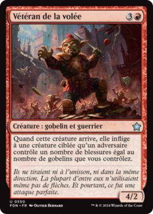 ee9c2db5-3b45-4472-9b1a-694c59b150aa Volley Veteran