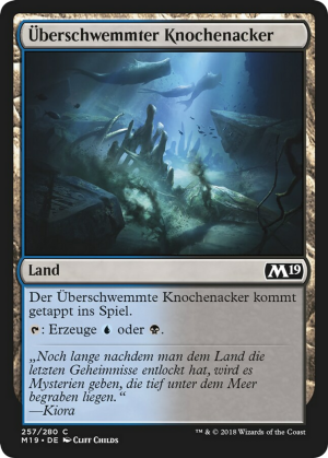 efac887c-d471-44a1-8723-d511f57be9f3 Submerged Boneyard