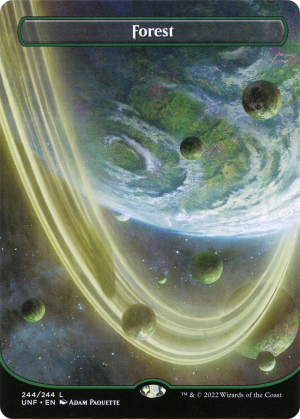 f1488e6b-f677-44c5-8ff3-6a2f9bdb28c2 Forest