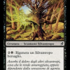 f1f50d6d-88c9-4cd6-86eb-7c9c4df251ef Black Poplar Shaman