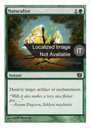 f1fa4473-7e28-43b7-a33b-5c740045c4cf Naturalize