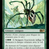 Silklash Spider