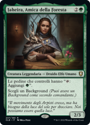 f5543a9e-ae82-4e3f-ba80-5865601c41b4 Jaheira, Friend of the Forest