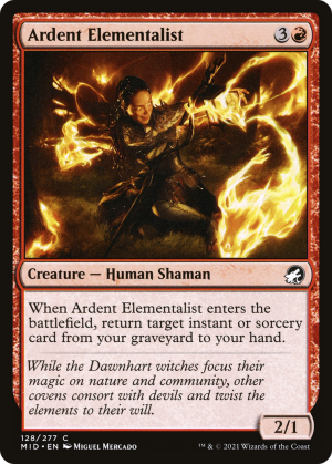 f58592f7-1df5-428d-9dde-e6acd9a5d1d5 Ardent Elementalist