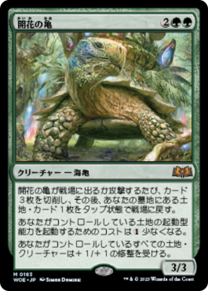 f58c8ba5-202f-4141-ad09-9be1a483e049 Blossoming Tortoise