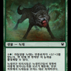 Darkthicket Wolf