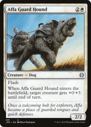f762546c-f5eb-420d-a8f7-c3566cd8f506 Affa Guard Hound