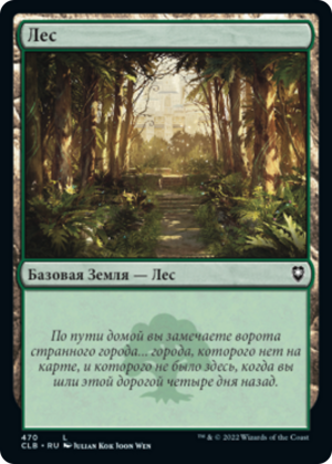 f8aea187-e1ba-4f06-a7b5-8928cb92b7f1 Forest