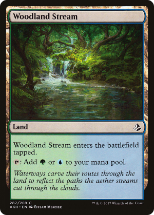 f8ff0f82-1326-479c-ba88-8cc85c56d883 Woodland Stream