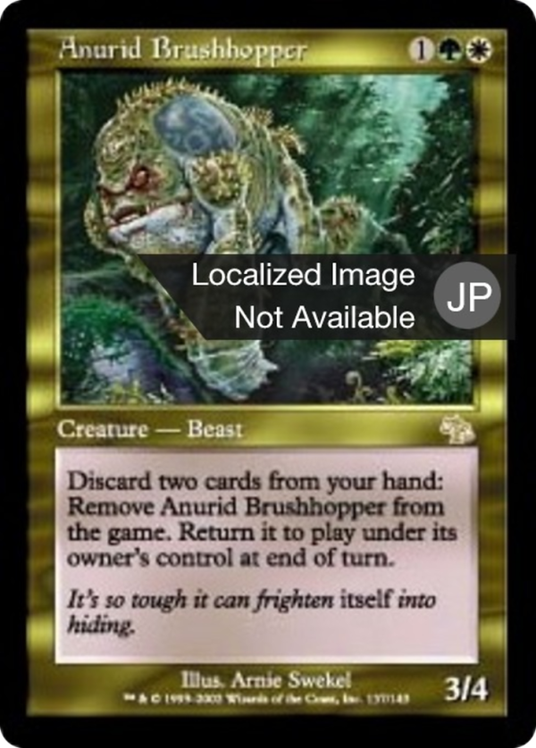 Anurid Brushhopper