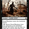 Dread Wanderer