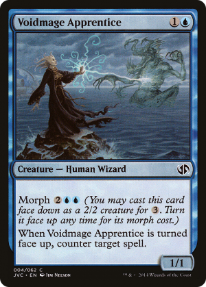 fdc000af-a161-4803-bd24-4fdde083caec Voidmage Apprentice