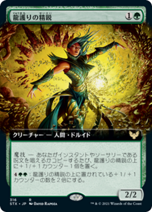 fe21ad0f-4def-448b-a08e-d8955217876a Dragonsguard Elite