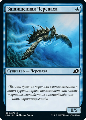 feb16fa4-9689-4bc9-b50f-68b202a87f26 Aegis Turtle