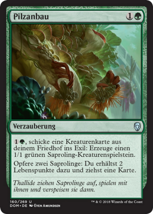 ff61c41f-95cf-4ced-b717-8b53b24cee6e Fungal Plots