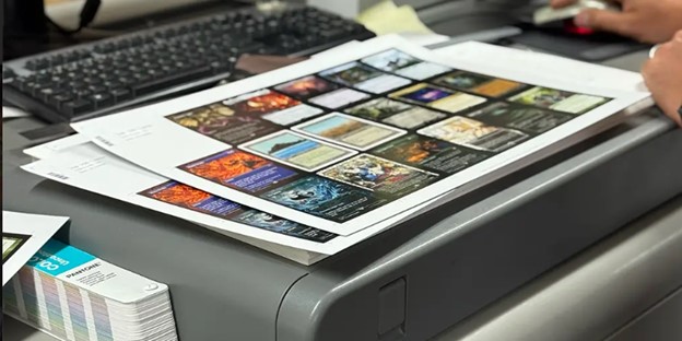 MTG Proxy Cards